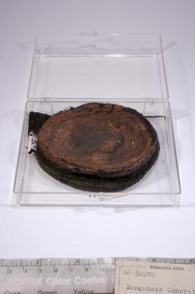 mn concretions