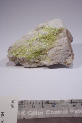 Meta-autunite