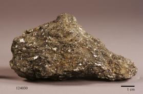 Phlogopite