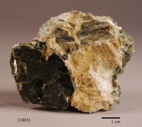 Phlogopite