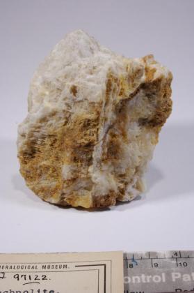 Pachnolite