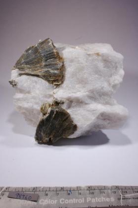 Muscovite