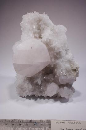 CALCITE with Quartz