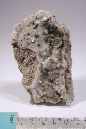 Sylvanite with CALCITE and Quartz