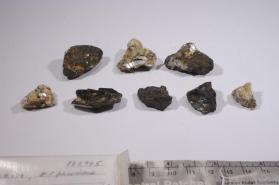 CASSITERITE