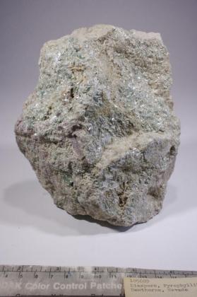 Diaspore