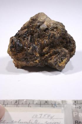 CASSITERITE with Columbite and HEMATITE and ZIRCON