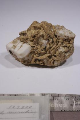 CASSITERITE