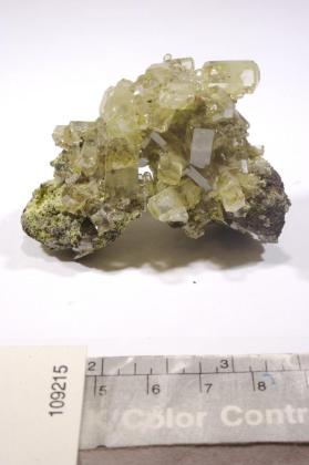 Mimetite