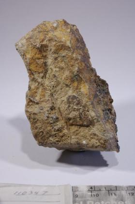 CASSITERITE