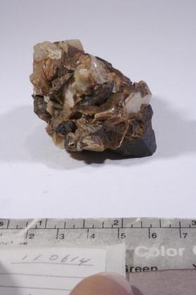 CASSITERITE