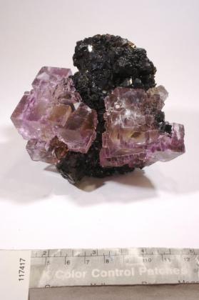 FLUORITE