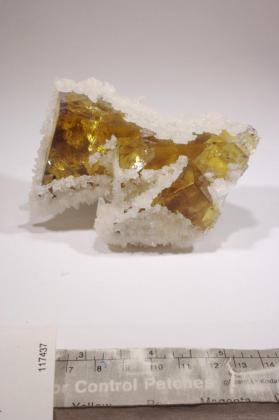 FLUORITE