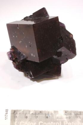 FLUORITE