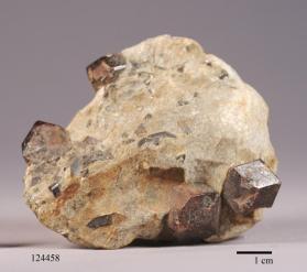 ALMANDINE with STAUROLITE