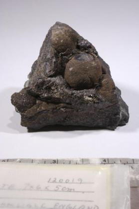 CASSITERITE