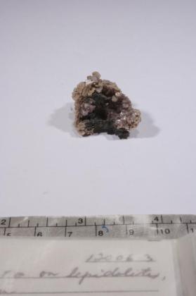 CASSITERITE