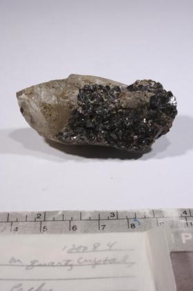 CASSITERITE