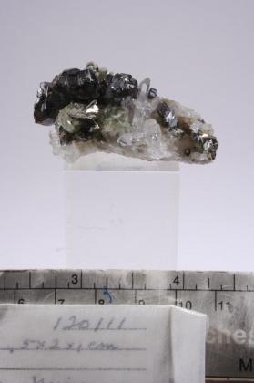 CASSITERITE