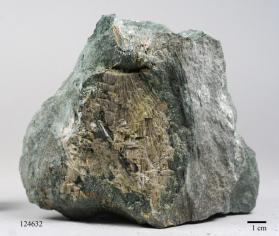 Clinozoisite