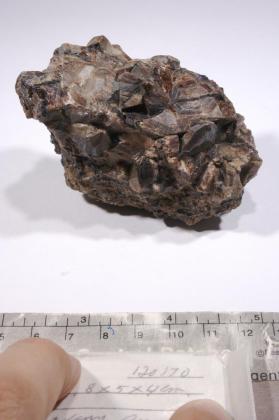 CASSITERITE