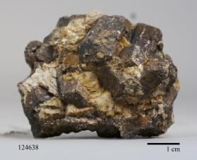 Muscovite