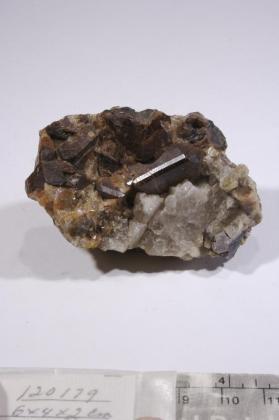 CASSITERITE