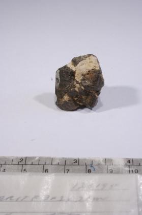 CASSITERITE