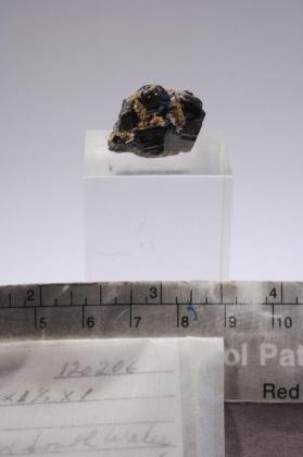 CASSITERITE