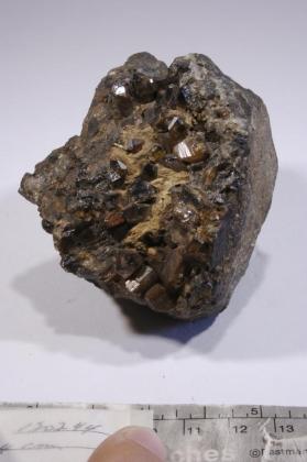 CASSITERITE