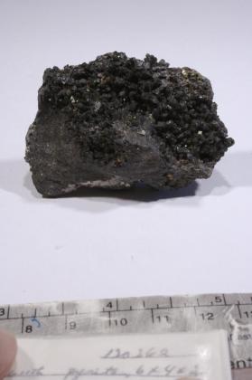 CASSITERITE