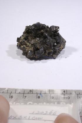 CASSITERITE