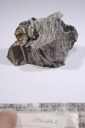 CASSITERITE