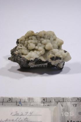 CASSITERITE