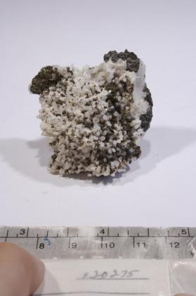 CASSITERITE