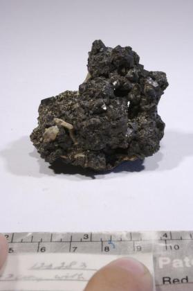 CASSITERITE