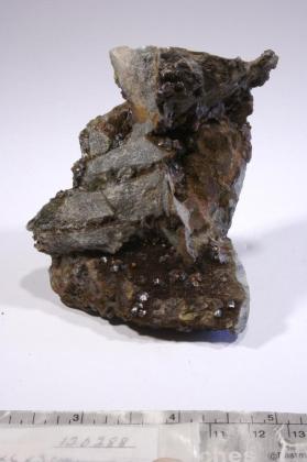 CASSITERITE