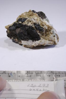 CASSITERITE