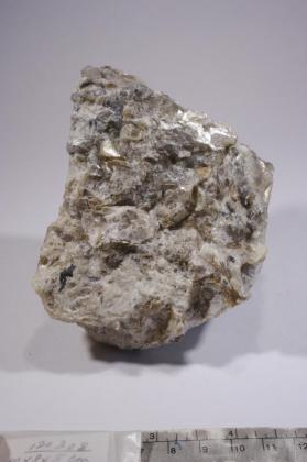 CASSITERITE