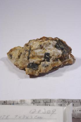 CASSITERITE