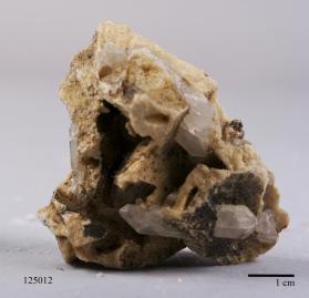 Cookeite with Bertrandite and Cookeite and FLUORAPATITE and Hydroxylherderite and Quartz