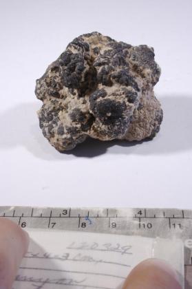 CASSITERITE