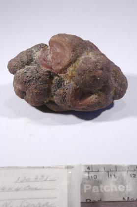 CASSITERITE