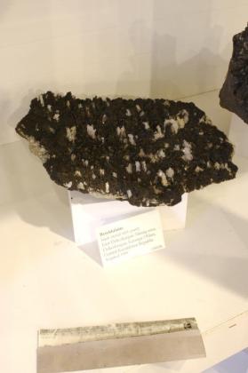 Betekhtinite