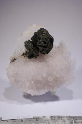 Polybasite with Chalcopyrite and Quartz