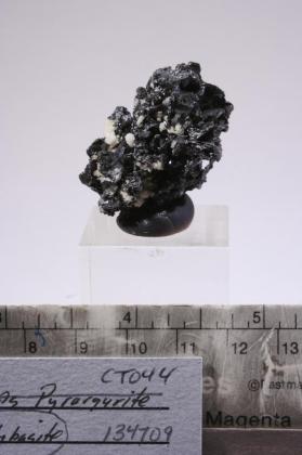 Polybasite with Chalcopyrite and pseudomorph after pyrargyrite