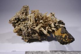 Goethite with Pyrrhotite and Quartz