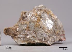 Lepidolite with Albite and ELBAITE and Microlite and montebrasite? and Quartz
