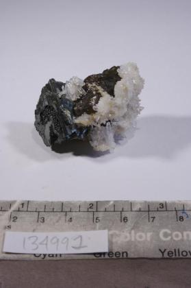 Tetrahedrite with Quartz and SPHALERITE