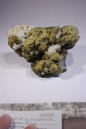 Chalcopyrite with Tetrahedrite